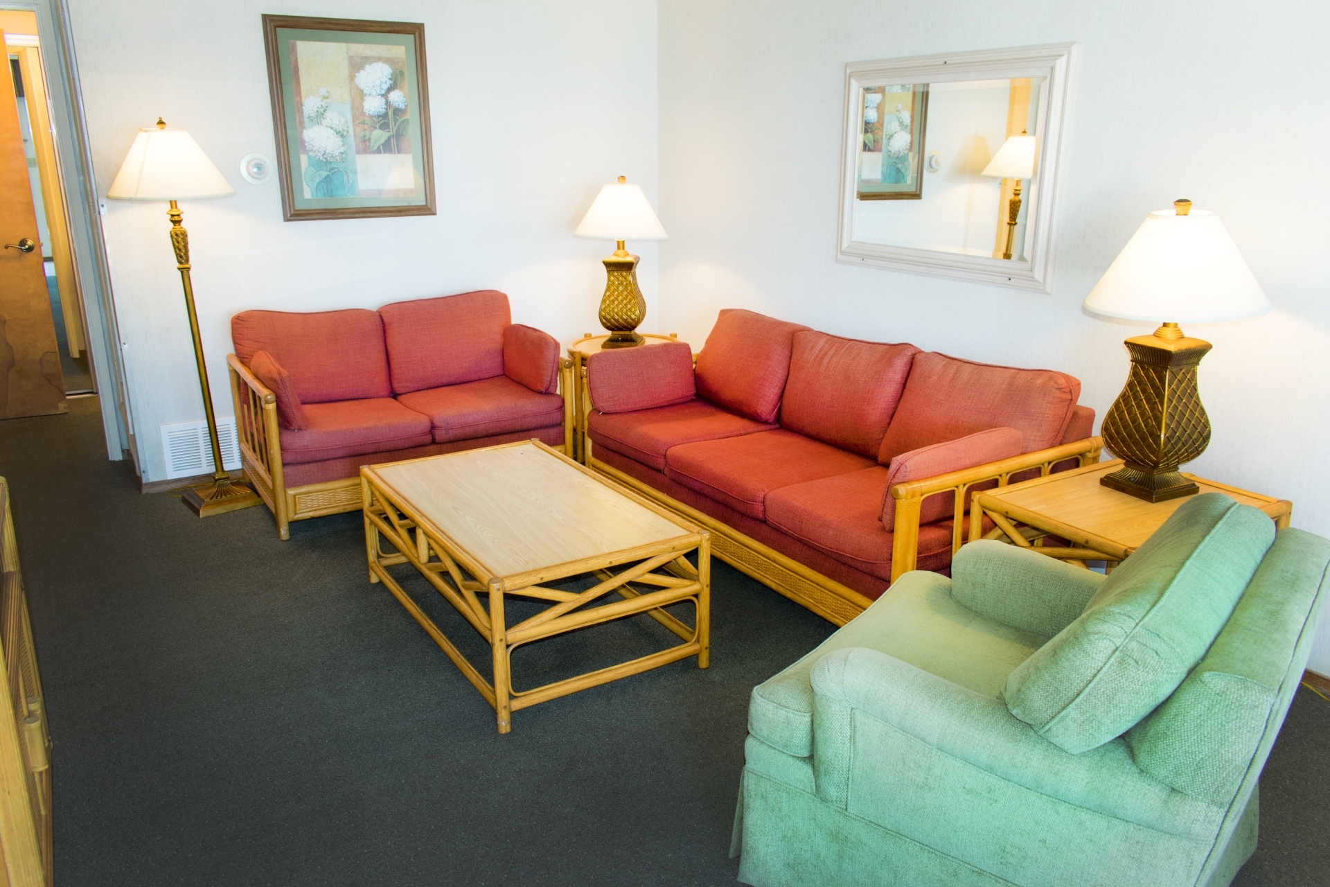 Large One Bedroom Apartment